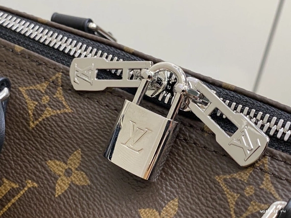 WIS Soft Speedy Vuitton Dark Louis 30 0308